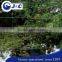 anti Bird protection netting use for vineyard, anti Bird protection net,PE anti bird netting