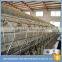 Multifunctional cheap solid steel chicken wire mesh for plastering