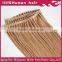 2015 new products 100% Brazilian virgin remy tape hair extension wholesale