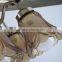 Rustic Ornate Stylish Strong Wind 48 Inch Ceiling Fans