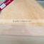 pre painted plywood
