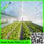 2015 greenhouse plastic film blowing mold type/uv resistant plastic film for fruit and vegetable