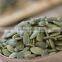 common cultivation pumpkin kernels/dried pumpkin seeds kernels