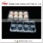 PET disposable plastic eggs Container plastic quail egg container 12 acounts                        
                                                Quality Choice