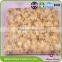 High quality Frozen Short-neck Clam Meat in Bulk