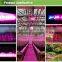 2016 New evergrow hydroponically full spectrum led grow light