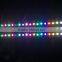 Size 75*15 MM IP68 Waterproof SMD5050 With WS2811Magic RGB Led Module