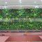 Synthnetic green wall decoration,artificial indoor decoration