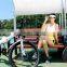 Seagull,Electric Fuel and New Condition powful 500w electric bicycle low price