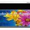 300 inch Large Electric Projection Screen/projector screen