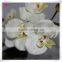 new design artificial orchid flower plants paper flower with pot