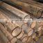 annealing seamless cold finished ss304 carbon pipe