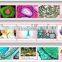 prepared plant root tip L.S. microscope slide
