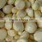 2014 Chinese Fresh Peeled Garlic , Peeled Garlic Cloves