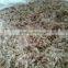 Competitive Price 99% chitin.