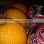 NAVEL ORANGE&