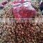High quality fresh shallot/rose onion
