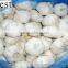 CHINA PURE WHITE FRESH GARLIC