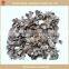 Dried oyster mushroom/pleurotus ostreatus with competitive price