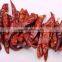 Premium Quality Indian Dry Red Chilli Exporters