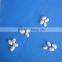 JSX Phaseolus white kidney bean Heilongjiang selected white kidney bean