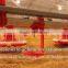 automatic poultry nipple drinking system