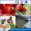 vegetables cleaning machines for sale