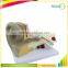 Ear Plastic Education Human Body Anatomy Model
