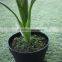 brand name artificial bonsai plants artificial wild taro bonsai decor