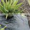 pp woven weed control black plastic mulch ground cover