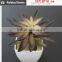 Hot sale artificial potted plants chinese succulent plants