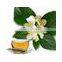 Neroli Oil