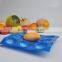 fruit Display Tray High Quality PP Fruit Packaging tray