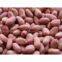 Shandong Peanut Kernels Long shape