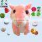 Custom mp3 player function stuffed sound box for plush toy