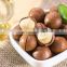 Best Price Macadamia Nut Sheller Cracker