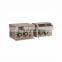 IFIS-C Intelligent flow injection sample injector