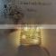 Hot Selling 20L Copper Wire String Light With 10pcs Plastic Clips