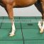 anti-slip horse & cow rubber mat with ISO9001:2000