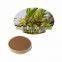 100% Pure Natural Organic Okra Extract with High Quality