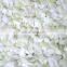 direct factory vegetables iqf frozen onion hot selling delicious quality