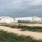 Low price pig barn odisha poultry farm mobile house