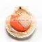 Frozen Half Shell Scallop Sea Scallop