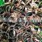 China Factory Sf-1 Du Oilless Composite Sliding Self Lubricating Bearing Bushing Door Bush
