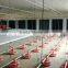 Automatic Poultry Breeding Equipment for Breeder Farm House