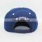 your own style university snapback hats with puff embroidery