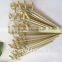 flat kebab skewers for meat and vegetable