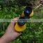 7x50 Zoom Binocular Telescope High Power Binocular Telescope