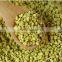 Cell-wall broken pollen tea/ tea bee pollen/tea flower pollen