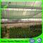 china manufacture export high quality dark green garden netting